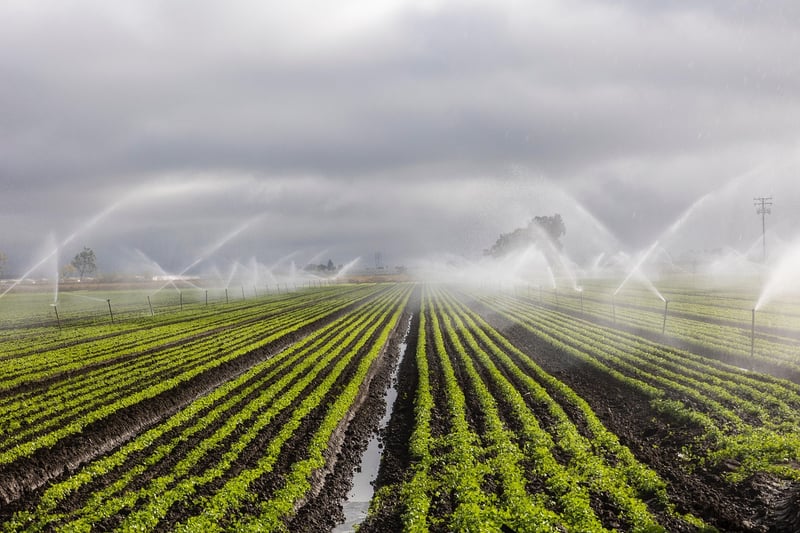 Irrigation Solutions